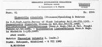 Colletotrichum gloeosporioides image